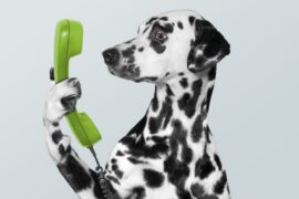 How did a trade union fall foul of the marketing rules?